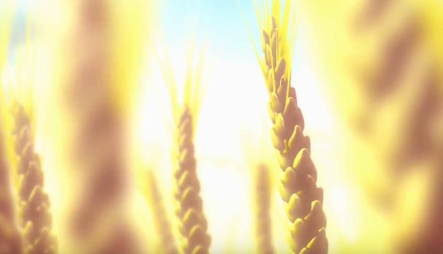 Screen Shot 2019-10-06 at 23.13.46